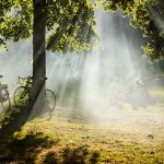 Afbeelding 12x mooie fietsroutes in Nederland