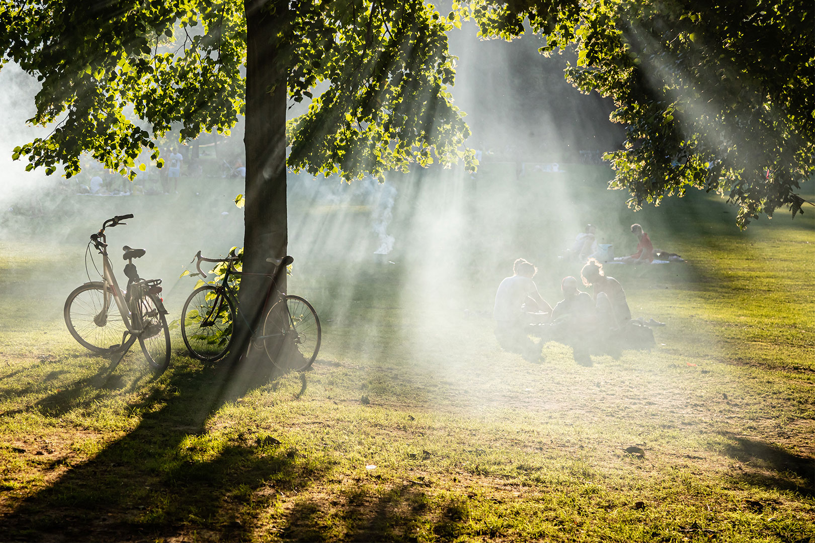 12x mooie fietsroutes in Nederland