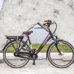 Afbeelding 4  feiten over elektrische fietsen