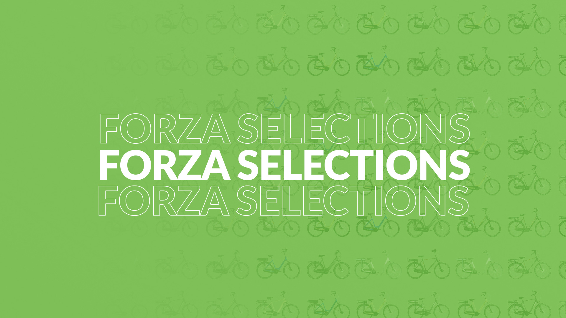 Ontdek de e-bike voor jouw stijl en budget met de Forza Selections!