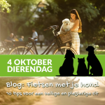 Afbeelding Fietsen met je hond: 10 tips voor een veilige en plezierige rit.