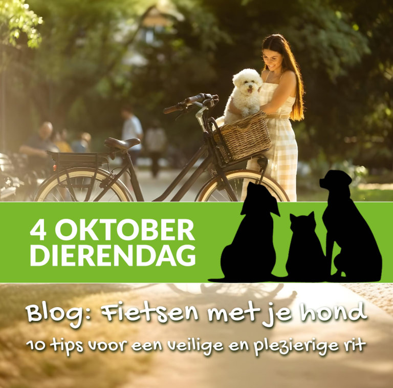 Fietsen met je hond: 10 tips voor een veilige en plezierige rit.